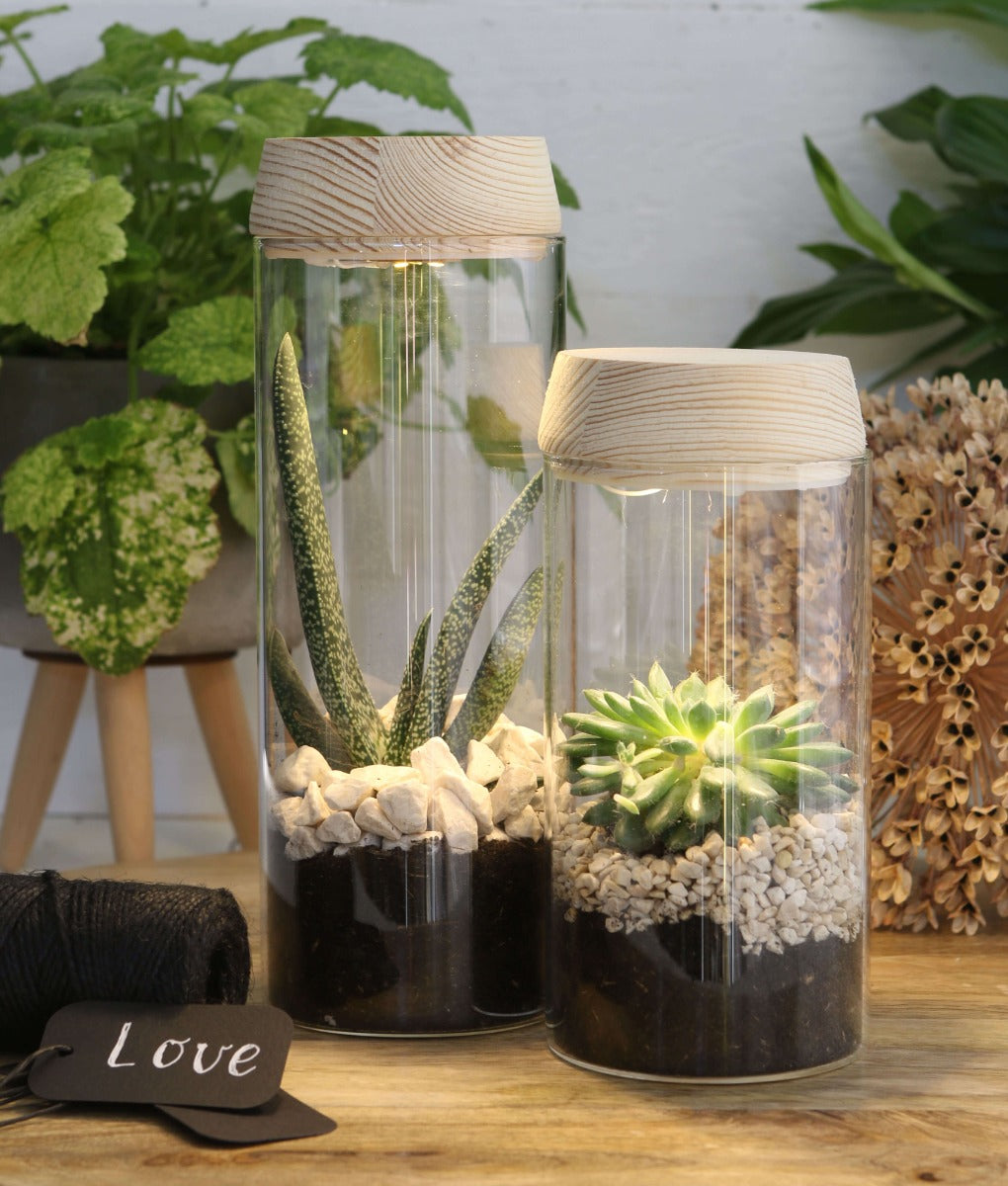 Glass cylinder with LED in wooden lid 18cm high - 1 pc