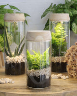 Glass cylinder with LED in wooden lid 23cm high - 1 pc
