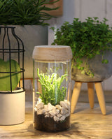 Glass cylinder with LED in wooden lid 18cm high - 1 pc