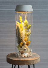 Glass cylinder with LED in wooden lid 23cm high - 1 pc