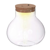 Terrarium w. cork w. accu w. usb-c plug Ø20,5 h.20 cm - 1 pcs