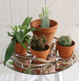 Mirror Plate Round Ø40cm bevelled Edge  - 1 pc