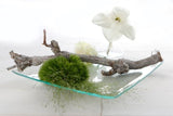 Glass Plate Square 25x25x2cm thick - 1 pc