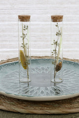 Glass tube with several dried flowers natural 15cm high - 12 pcs