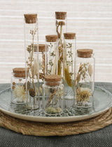 Glass tube with several dried flowers natural 20cm high - 12 pcs