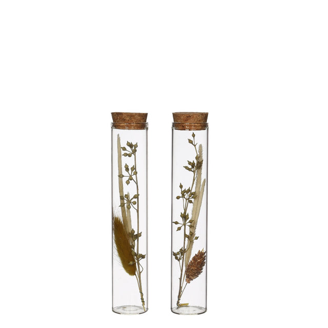 Glass tube with several dried flowers natural 15cm high 