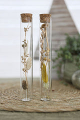 Glass tube with several dried flowers natural 20cm high - 12 pcs