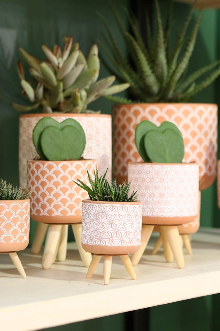Plant pot Terra cement with wooden legs 21.5cm high - 6 pcs