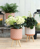 Plant pot Terra cement with wooden legs 21.5cm high - 6 pcs