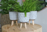 Plant pot Cement with wooden legs 11cm high - 6 pcs