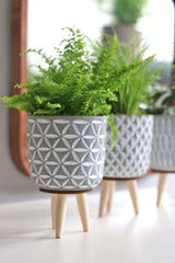 Plant pot Cement with wooden legs 11cm high - 6 pcs