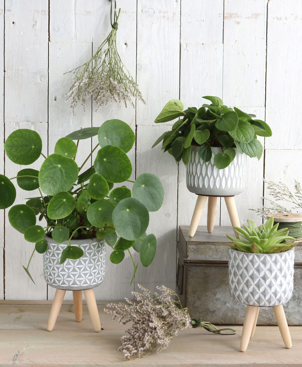 Plant pot Cement with wooden legs 18cm high - 6 pcs