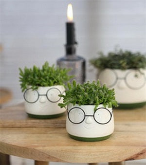 Pot with glasses Ø85 h:65 mm - 6 Pcs