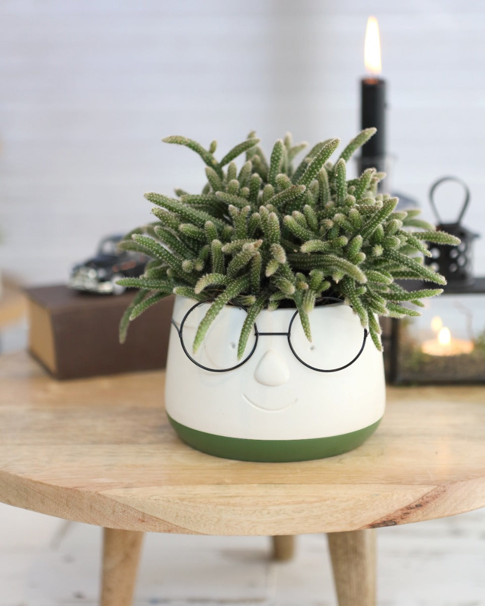 Pot with glasses Ø135 h: 105 mm - 6 Pcs