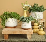 Pot with glasses Gold Ø120 h: 90 mm  - 6 Pcs