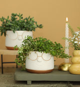 Pot with glasses Gold Ø120 h: 90 mm  - 6 Pcs