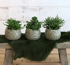Plant pot Mila craquele glaze Green ø7cm high - 9 pcs
