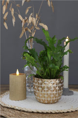 Hanoi pot Ø100 x h:84 mm Gold - 6 Pcs