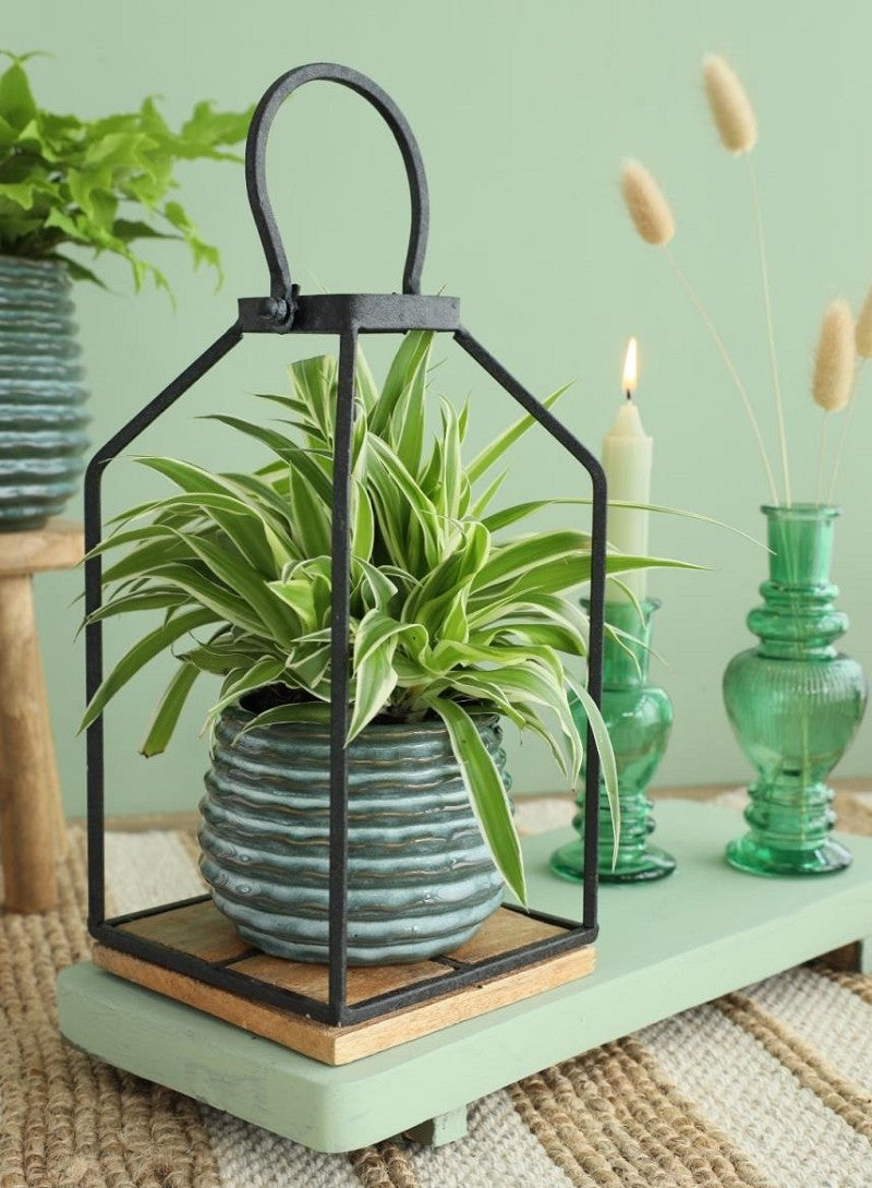 Pot Dark Green Rise Ø65 x h: 80 mm - 12 Pcs