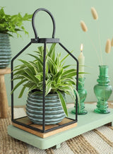 Pot Dark Green Rise Ø65 x h: 80 mm - 12 Pcs