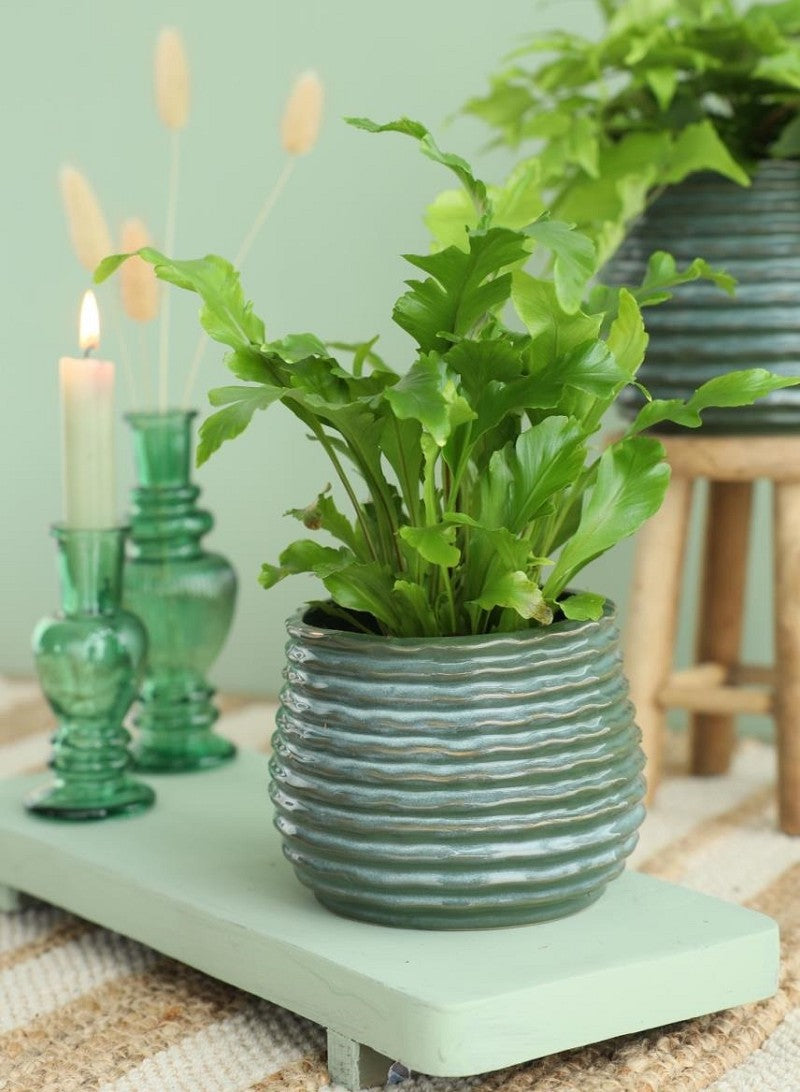 Pot Dark Green Rise Ø100 x h: 135 mm - 6 Pcs