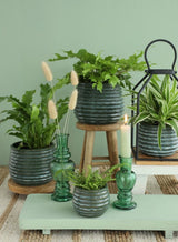 Pot Dark Green Rise Ø85 x h: 115 mm - 9 Pcs