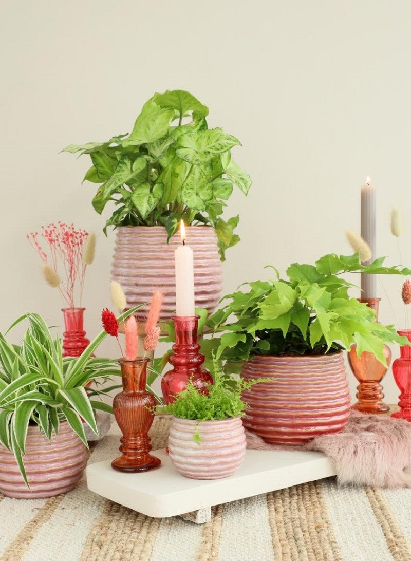 Pot Pink Carmine Rise Ø85 x h: 115 mm - 9 Pcs