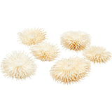 Dried flower heads, D: 3-5 cm - 6 pcs