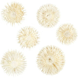 Dried flower heads, D: 3-5 cm - 6 pcs
