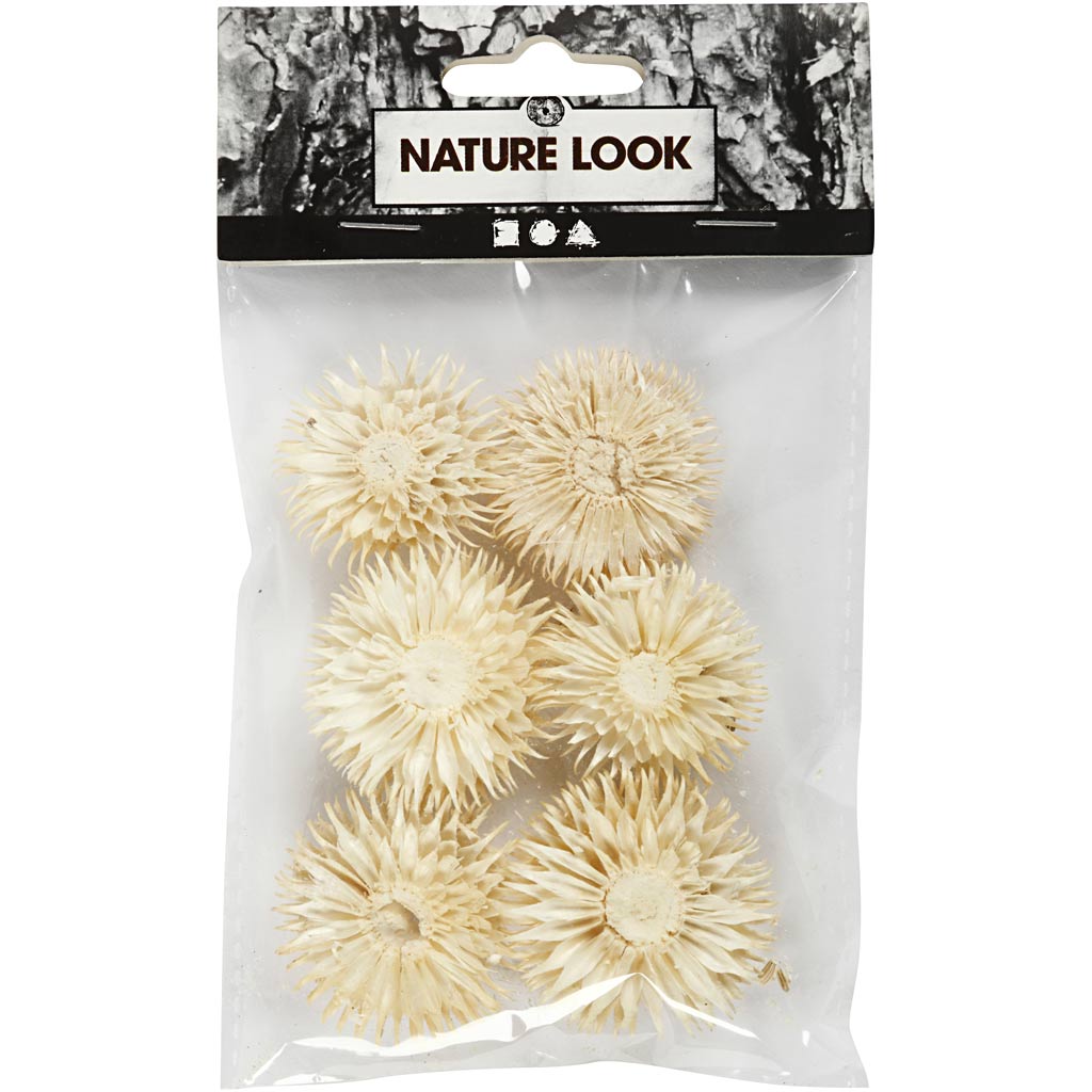 Dried flower heads, D: 3-5 cm - 6 pcs
