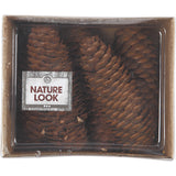 Abies cone 40mm - 100g +- 5 pcs