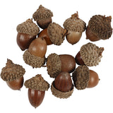 Acorn - 12 pcs