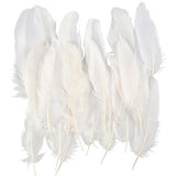 Feathers, approx. 15 cm, white - 350 pcs