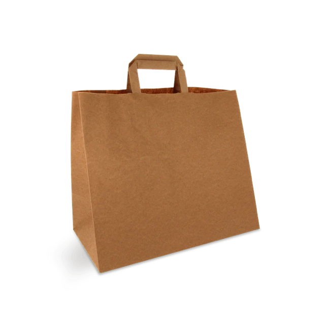 Carrier Bags Paper 320x170x270 mm Brown 
