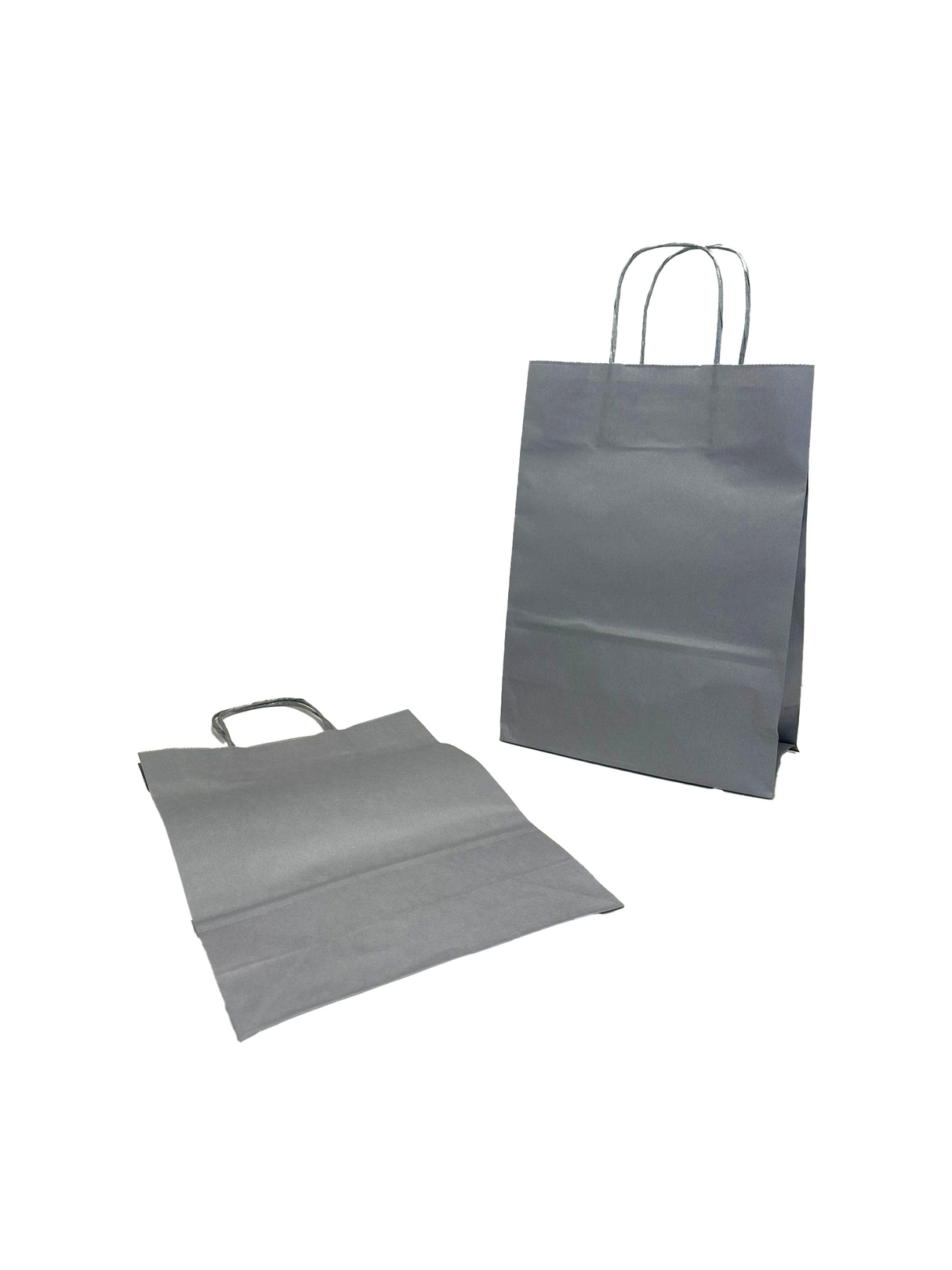 Paper Carry Bags Silver 220+100x310mm - 50 pcs
