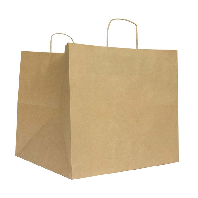 Record carrier Bags 33+33x33cm Brown 