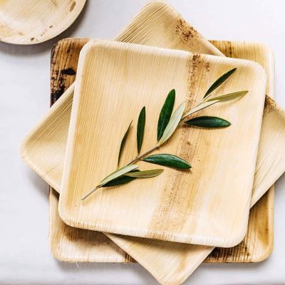 Square Plate Palm Leaf 18x18 cm (200 pieces) [GB-DTW05348]