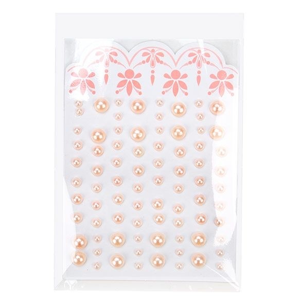 Eco Friendly Bags Bioplastic 102x153mm - 100 pcs