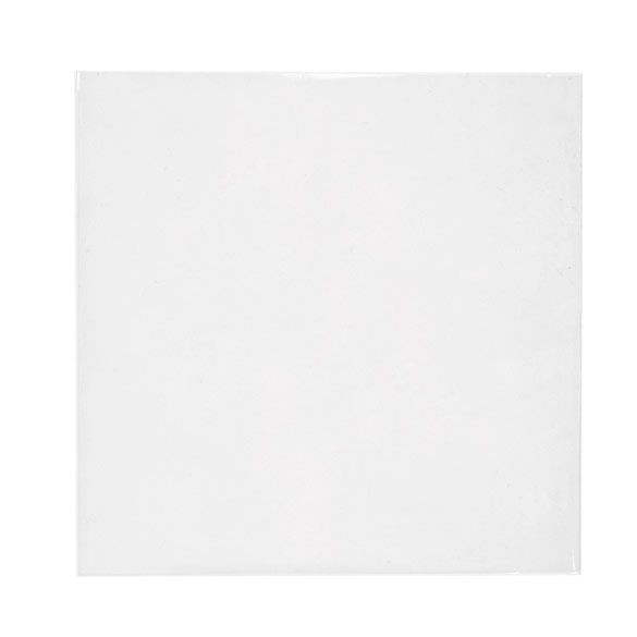 Eco Friendly Bags Bioplastic 170x167cm - 100 pcs