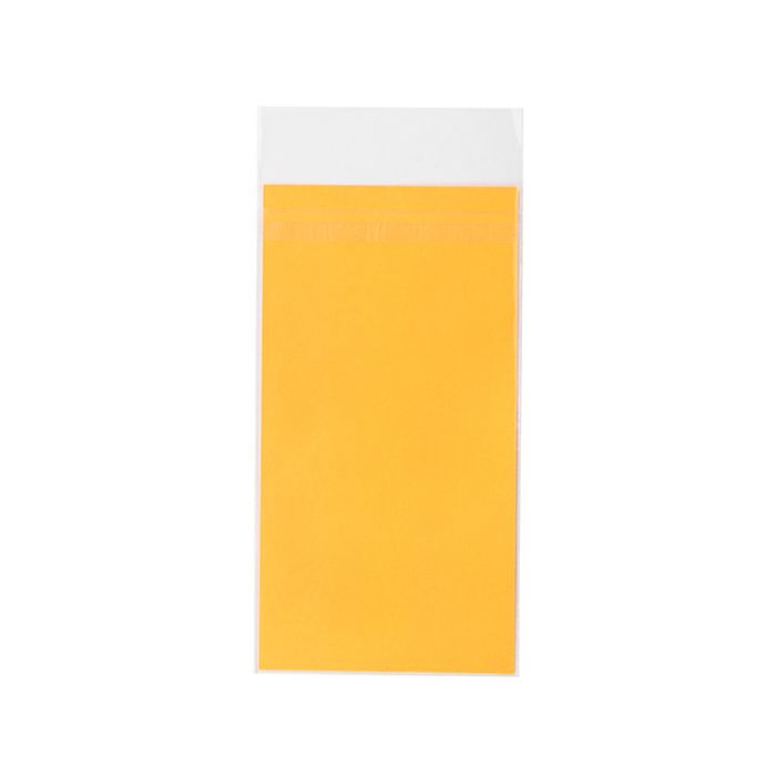 Eco-Friendly Bioplastic Clear Bags 102 x191 mm Protective Closure - 100 pcs