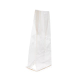 Block Bottom Bags Home Compostable w/ Paper Insert 127x76x305 mm - 100 pcs