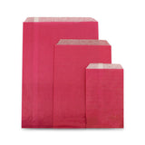 Gift bags 21x30cm Fuchsia 