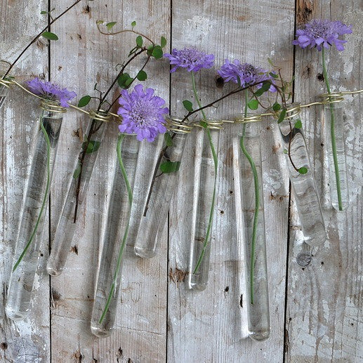 Glass Test tube 20mm diameter 200mm high, with ring - 12 pcs