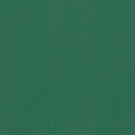 Brown kraft wrapping paper on a roll Uni Green 50cm wide (1 pc.) [FP