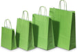 Paper Carry Bags Green 220+100x310mm 