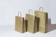 Paper Carry Bags Gold 220+100x310mm 