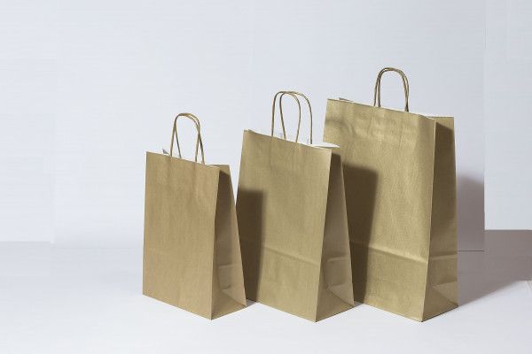 Paper Carry Bags Gold 220+100x310mm 