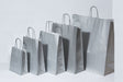 Paper Carry Bags Silver 260+120x350mm 