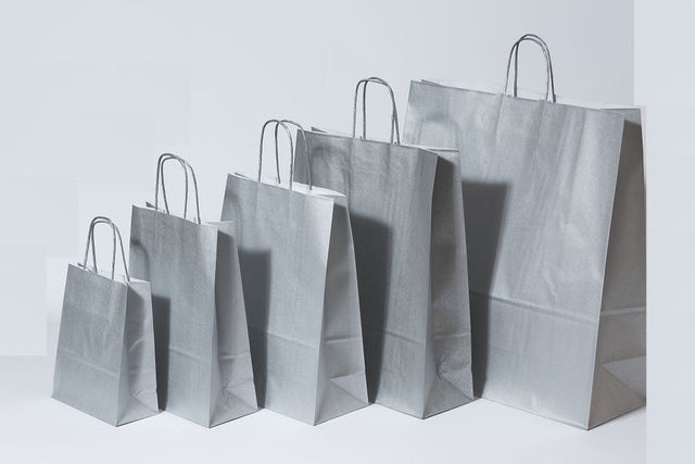 Paper Carry Bags Silver 220+100x310mm 