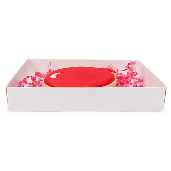 Kraft Gift Boxes White 114x25x152mm -25 pieces